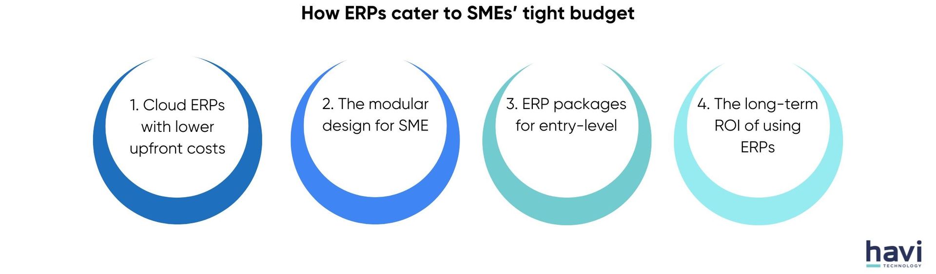 erp software for small business Havi Technology Pty Ltd